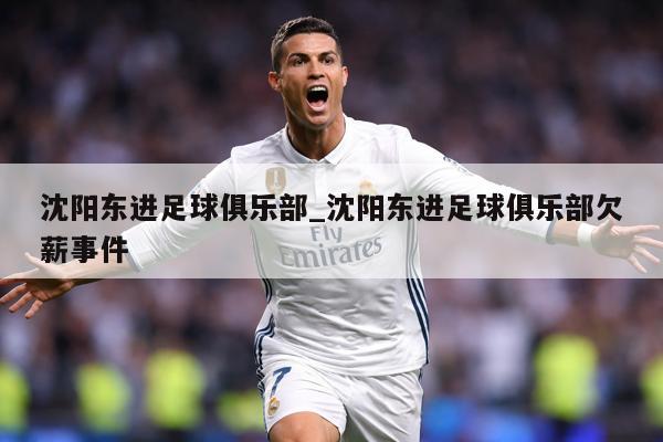 沈阳东进足球俱乐部_沈阳东进足球俱乐部欠薪事件