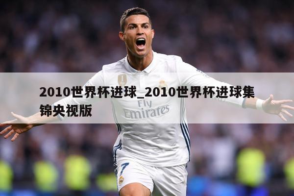2010世界杯进球_2010世界杯进球集锦央视版